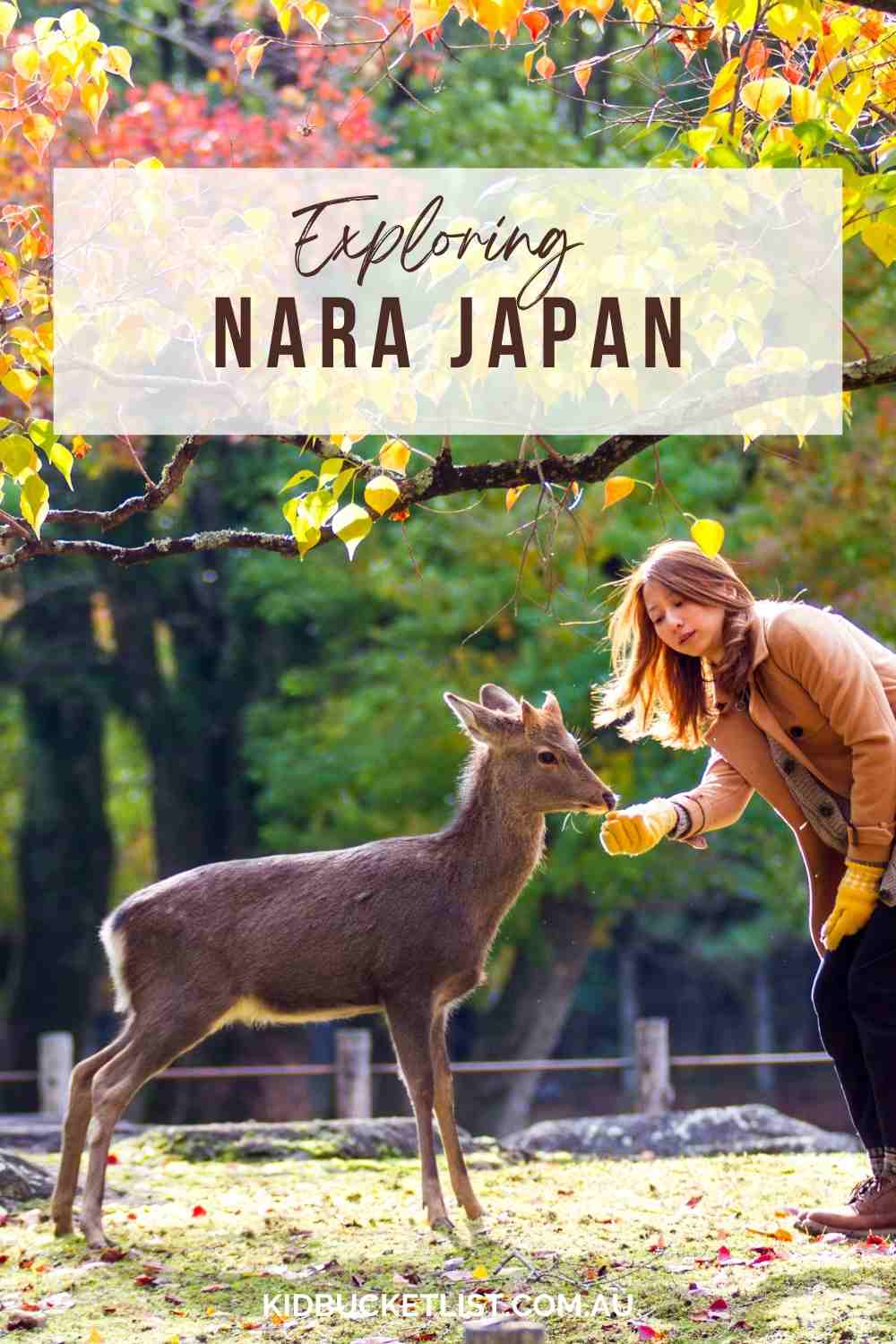 All of the best things to do on a Nara day trip