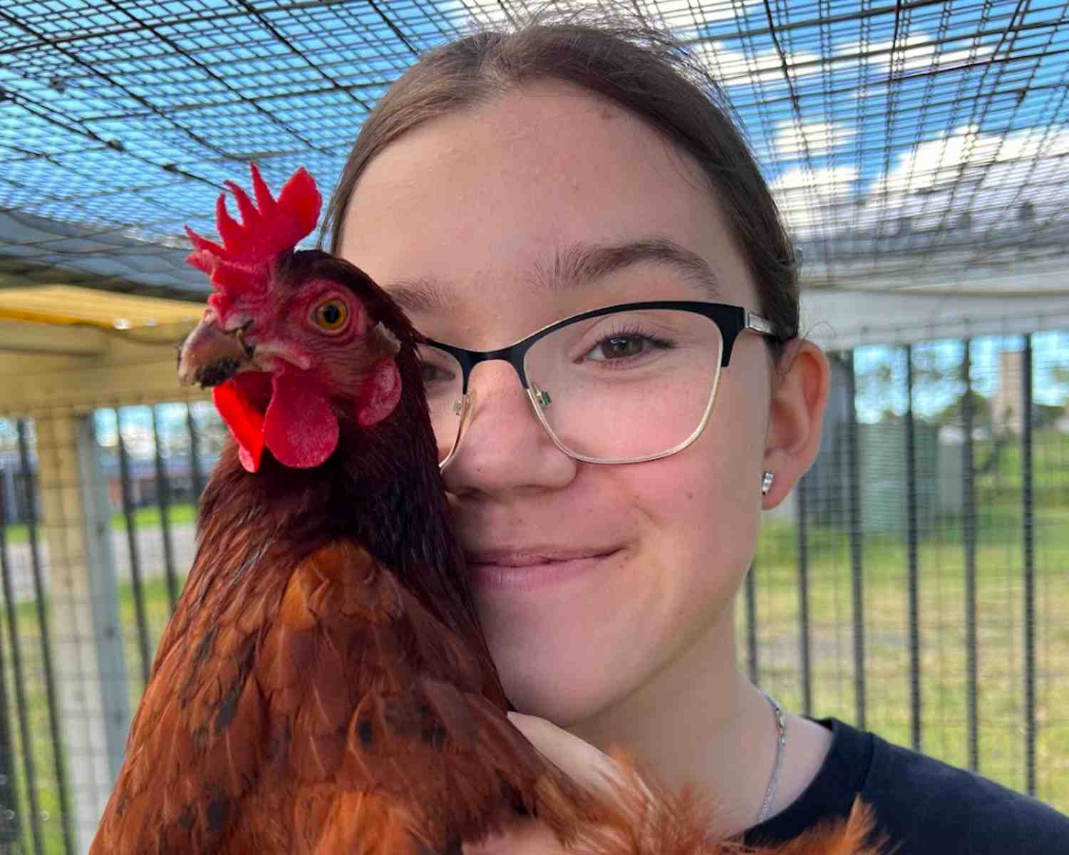 Feed the chickens Farm Stays Near Sydney 
