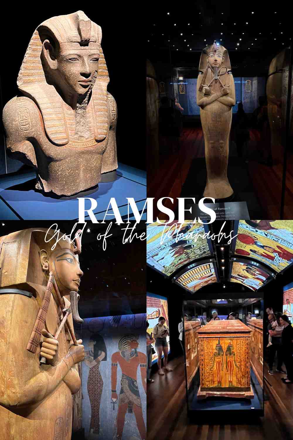 Ramses at the Australian Museum