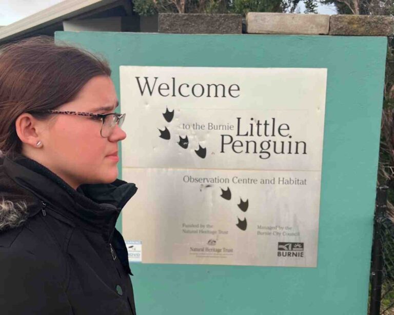 Where to See Penguins in Tasmania - The Kid Bucket List