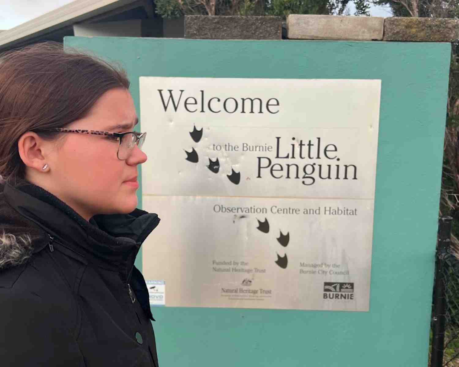 Finding penguins near Burnie
