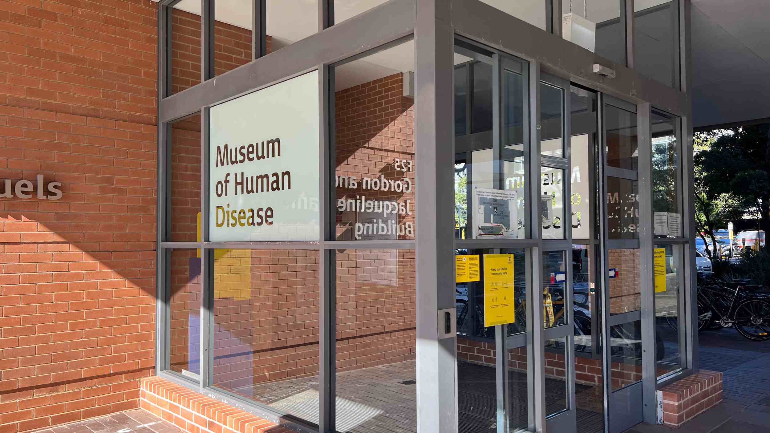 Museum of Human Disease | UNSW Museum | University Museum Sydney