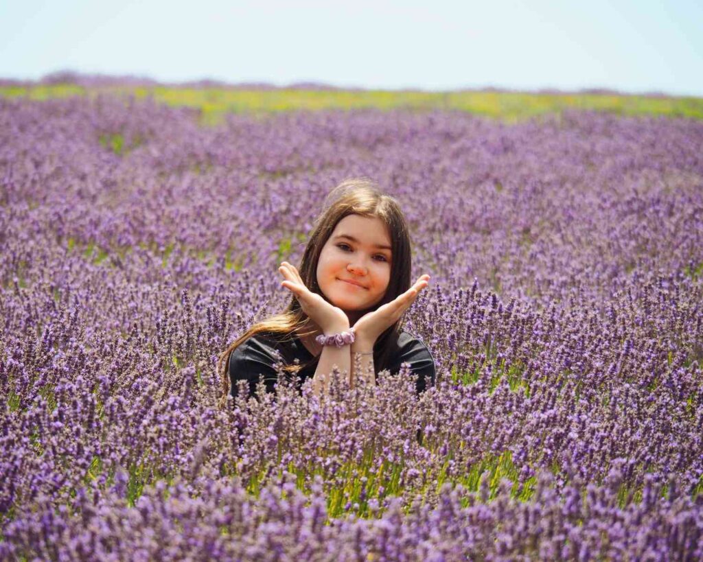 Lavender farms in Tasmania | lavender farm Tasmania | bridestowe farm Tasmania