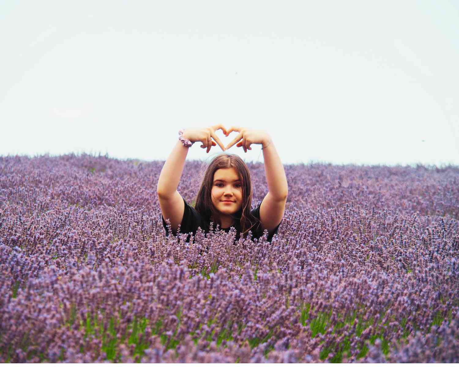 Lavender farms in Tasmania | lavender farm Tasmania | bridestowe farm Tasmania