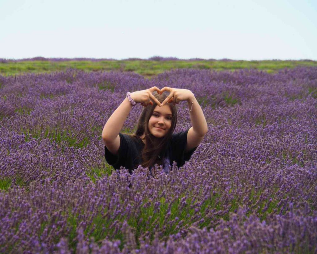 Lavender farms in Tasmania | lavender farm Tasmania | bridestowe farm Tasmania