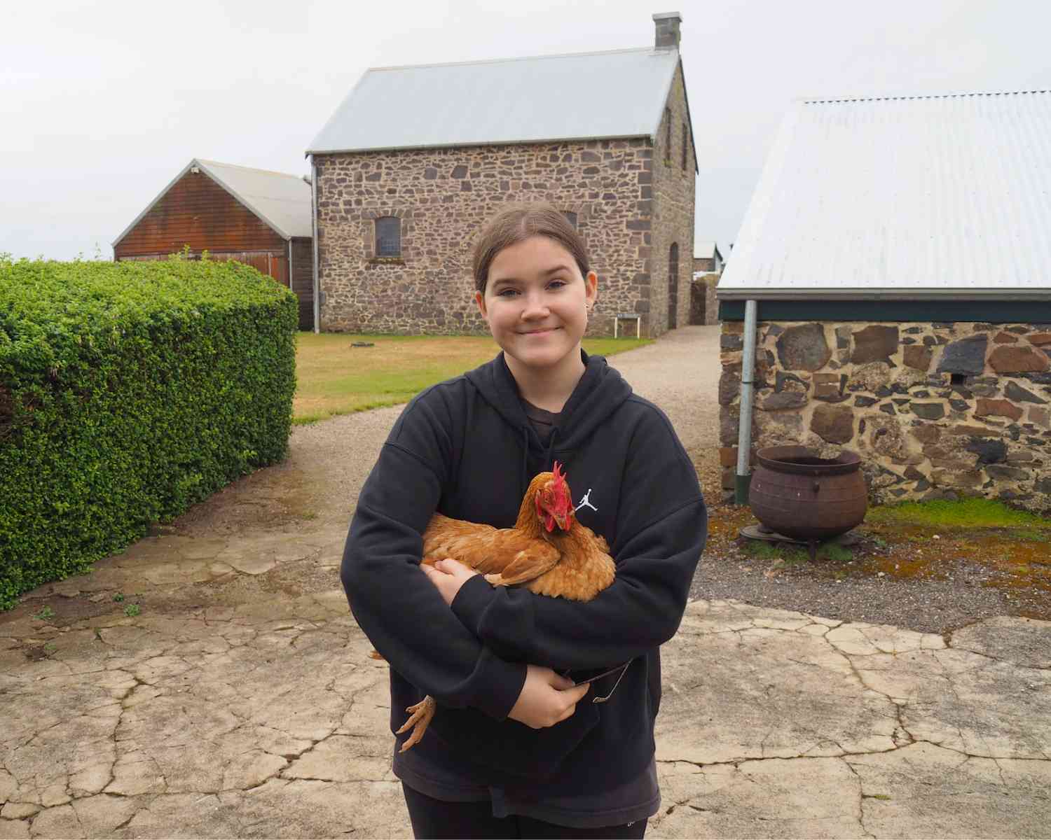 Chickens at Highfields House Stanley