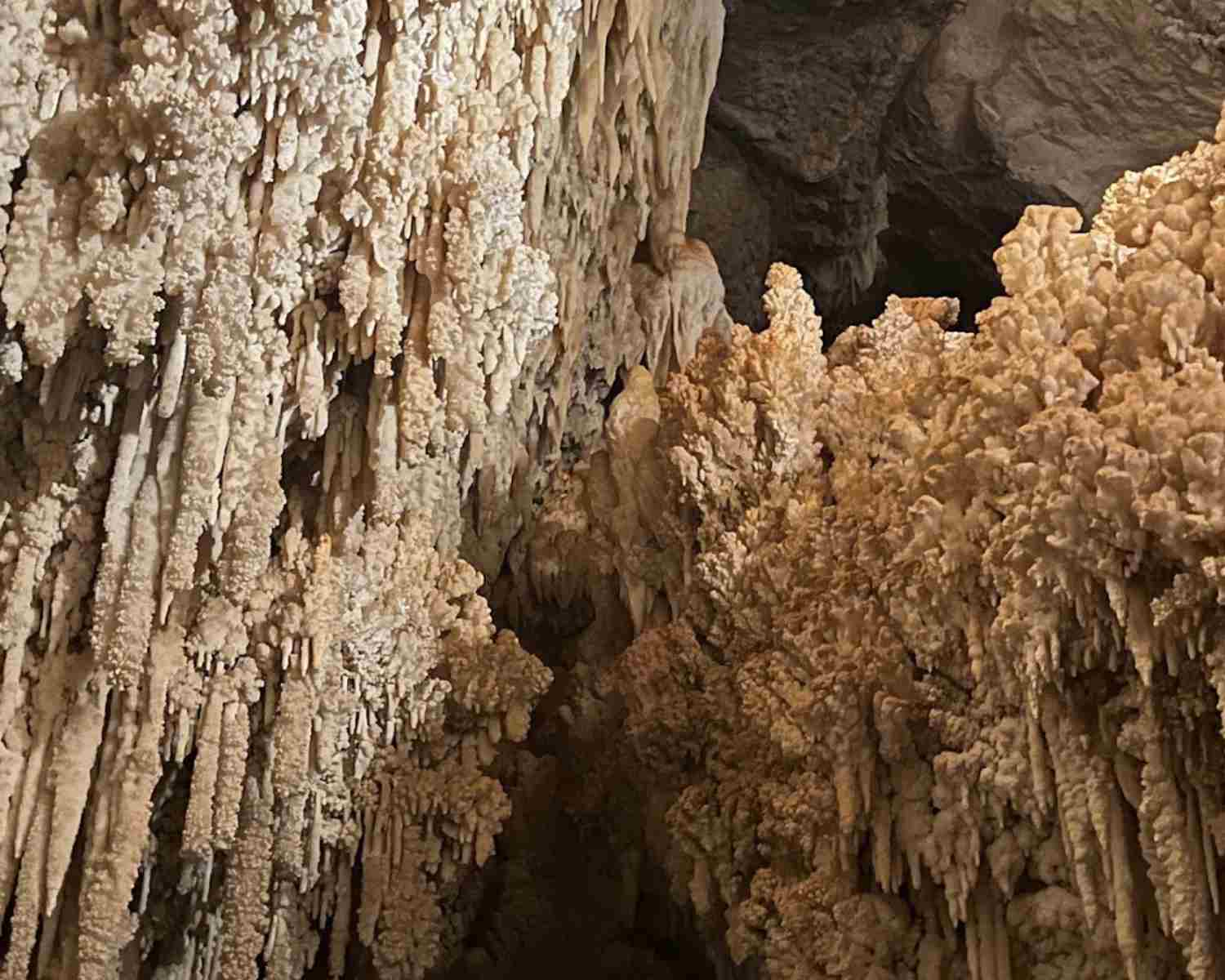 Jewel Cave with Kids | Jewel Cave Western Australia