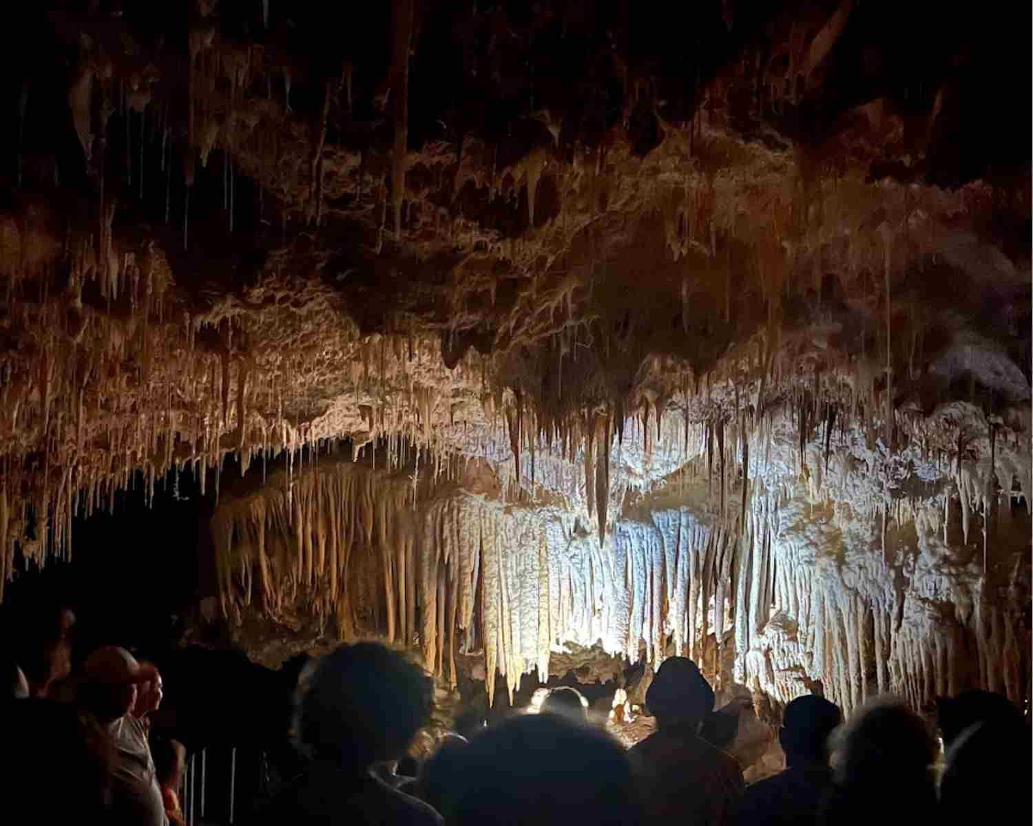 Jewel Cave with Kids | Jewel Cave Western Australia