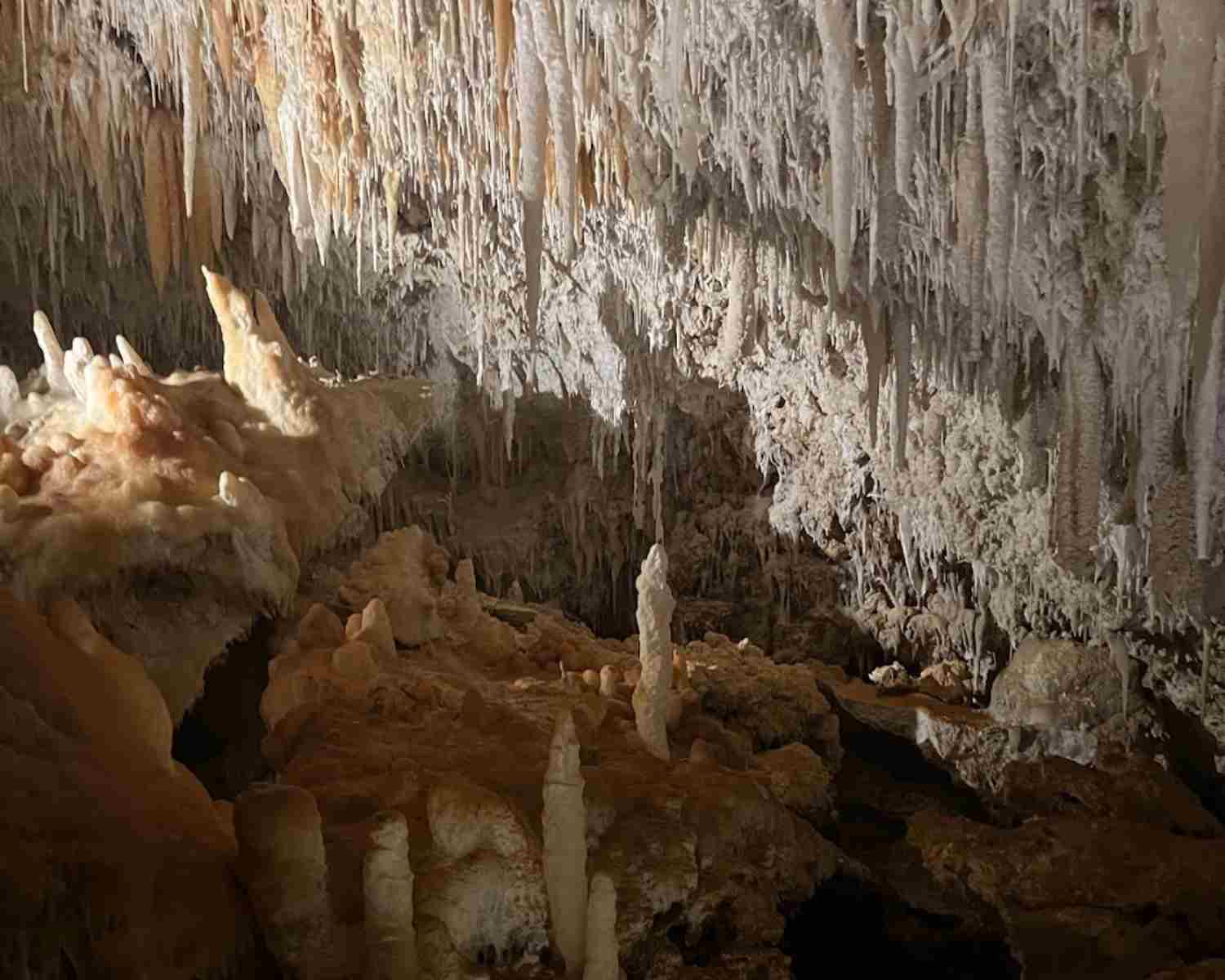 Jewel Cave with Kids | Jewel Cave Western Australia