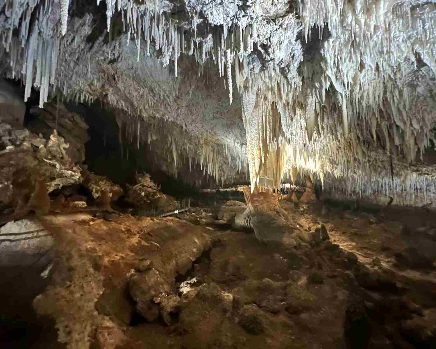 Jewel Cave with Kids | Jewel Cave Western Australia