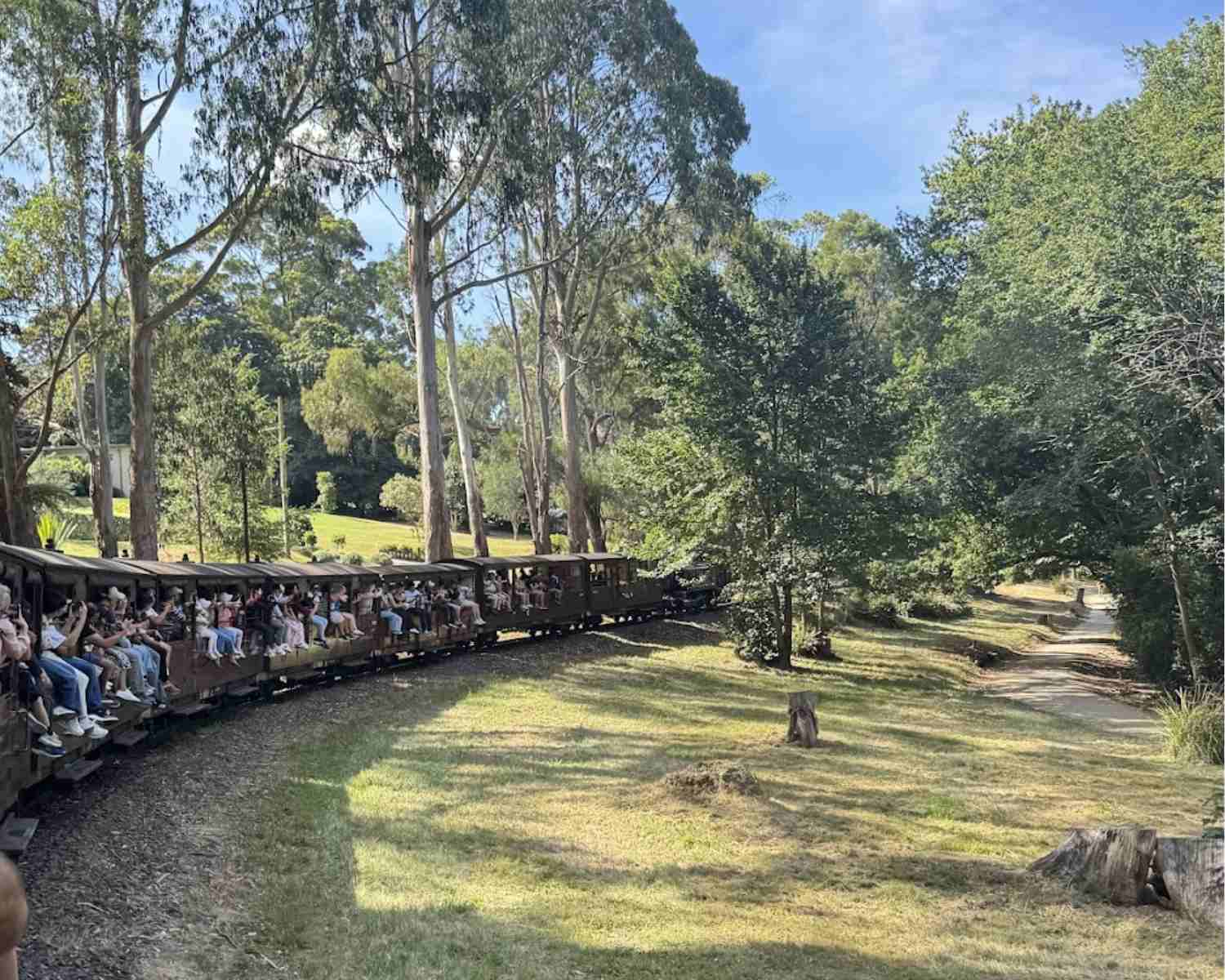 The Puffing Billy Victoria | Dandenong Ranges Puffing Billy | 