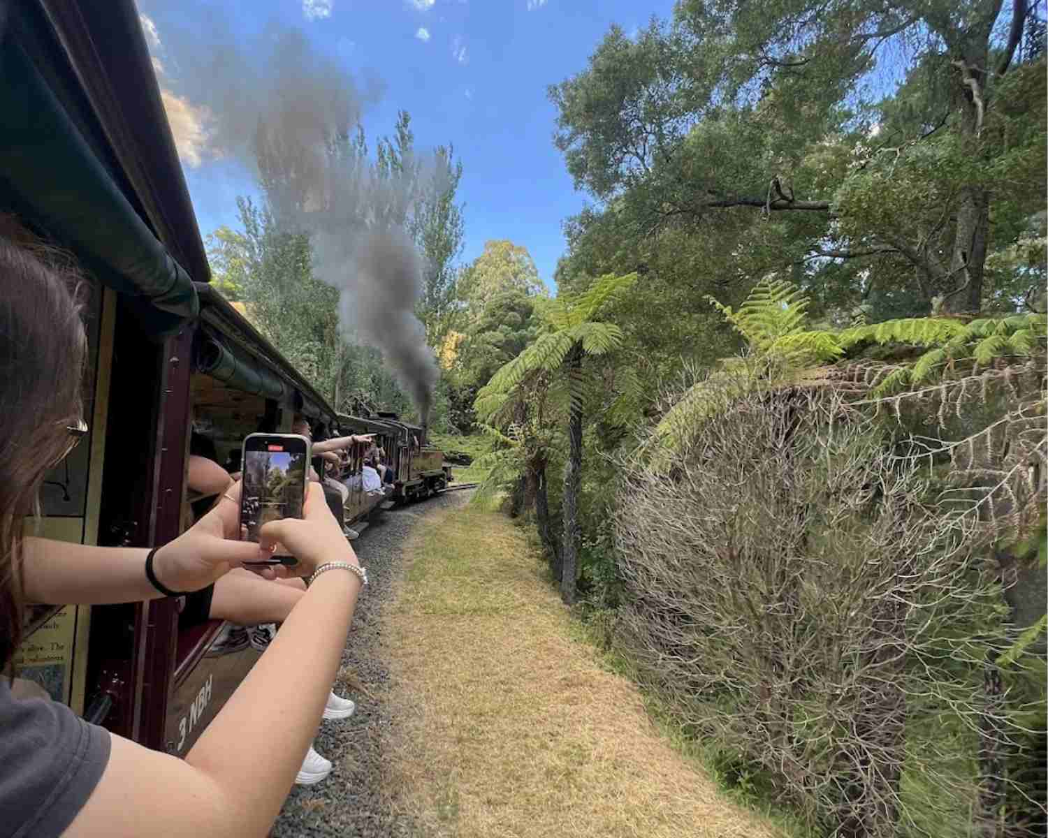 The Puffing Billy Victoria | Dandenong Ranges Puffing Billy | 